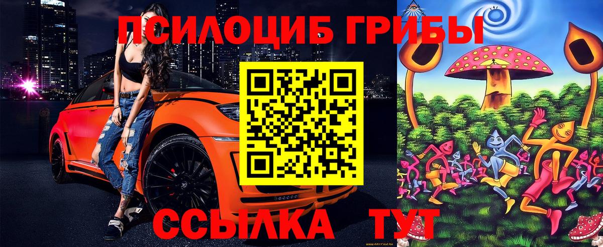 Псилоцибиновые грибы GOLDEN TEACHER  Вход с VPN  Псилоцибиновые грибы Magic Shrooms  Оренбург 