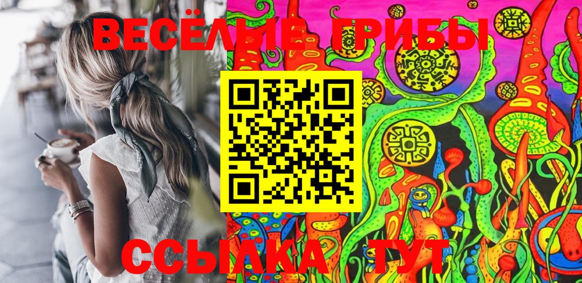 Галлюциногенные грибы Psilocybe Оренбург